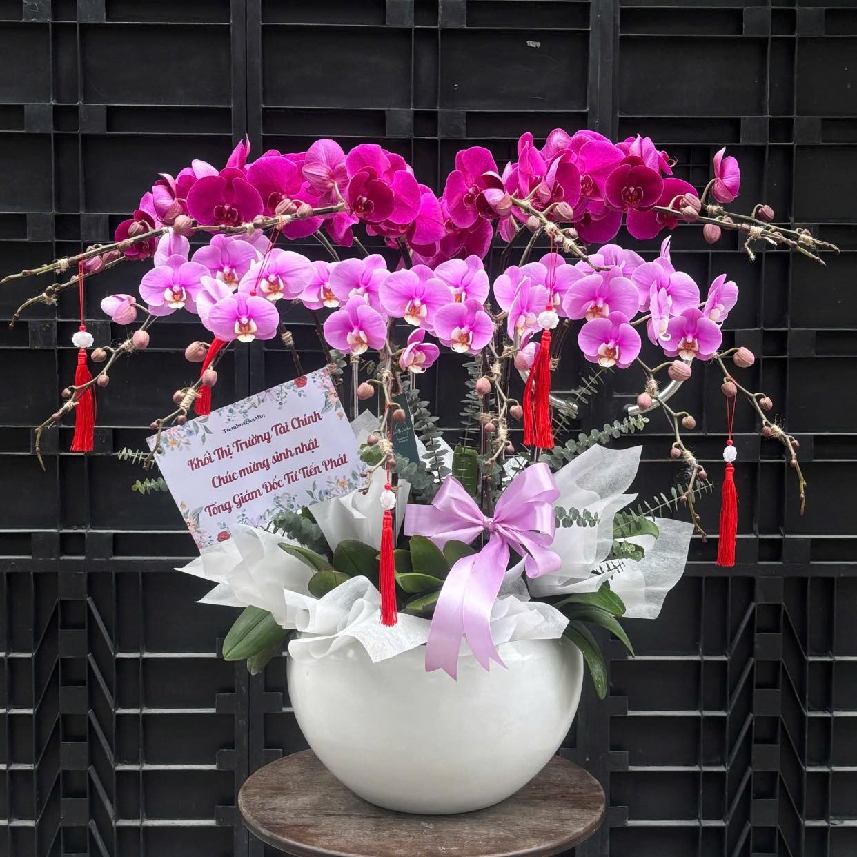 Chậu hoa lan hồ điệp - 678